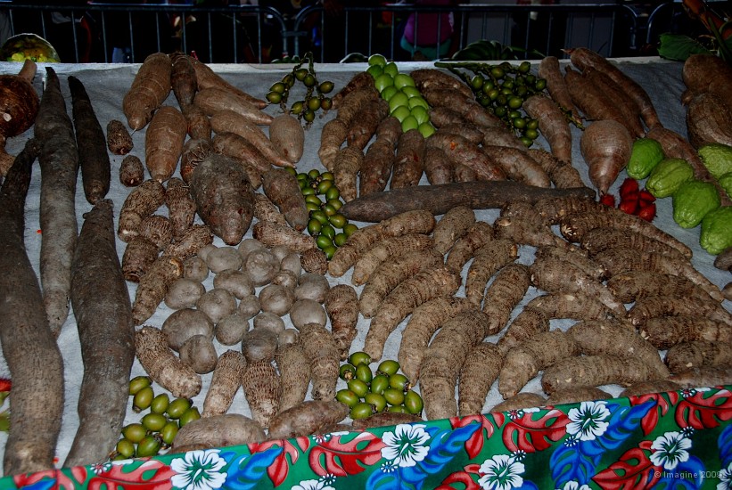 13- Exposition de tubercules.JPG
